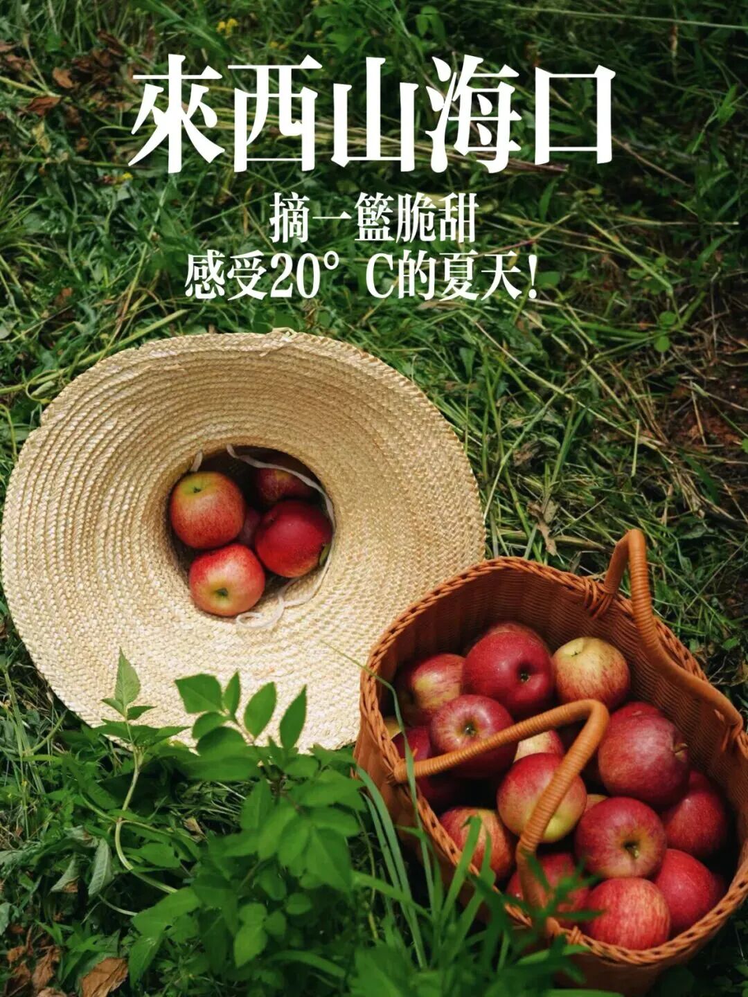 街头巷尾
