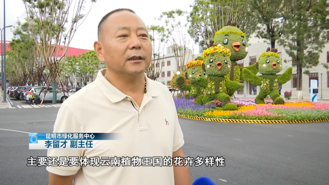 8099999街头巷尾微信