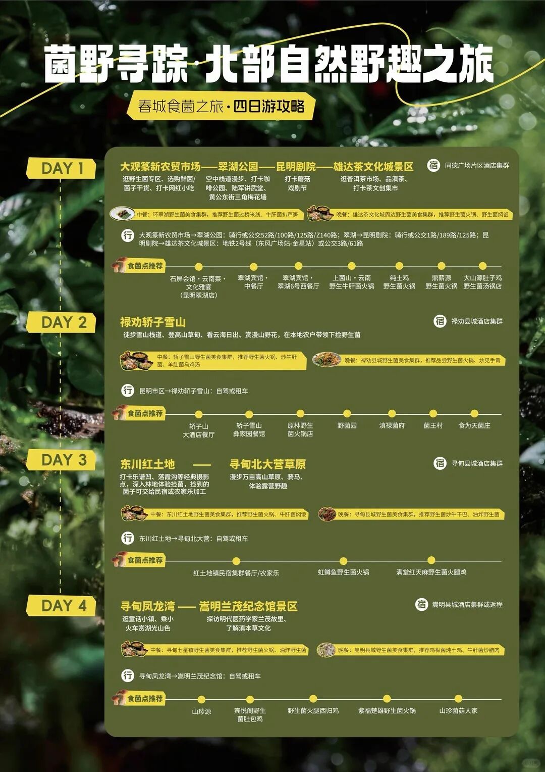 街头巷尾