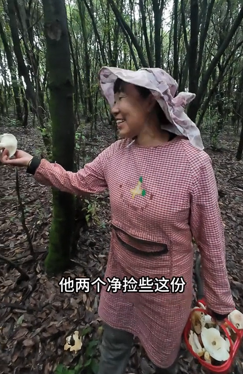 掌上春城微信