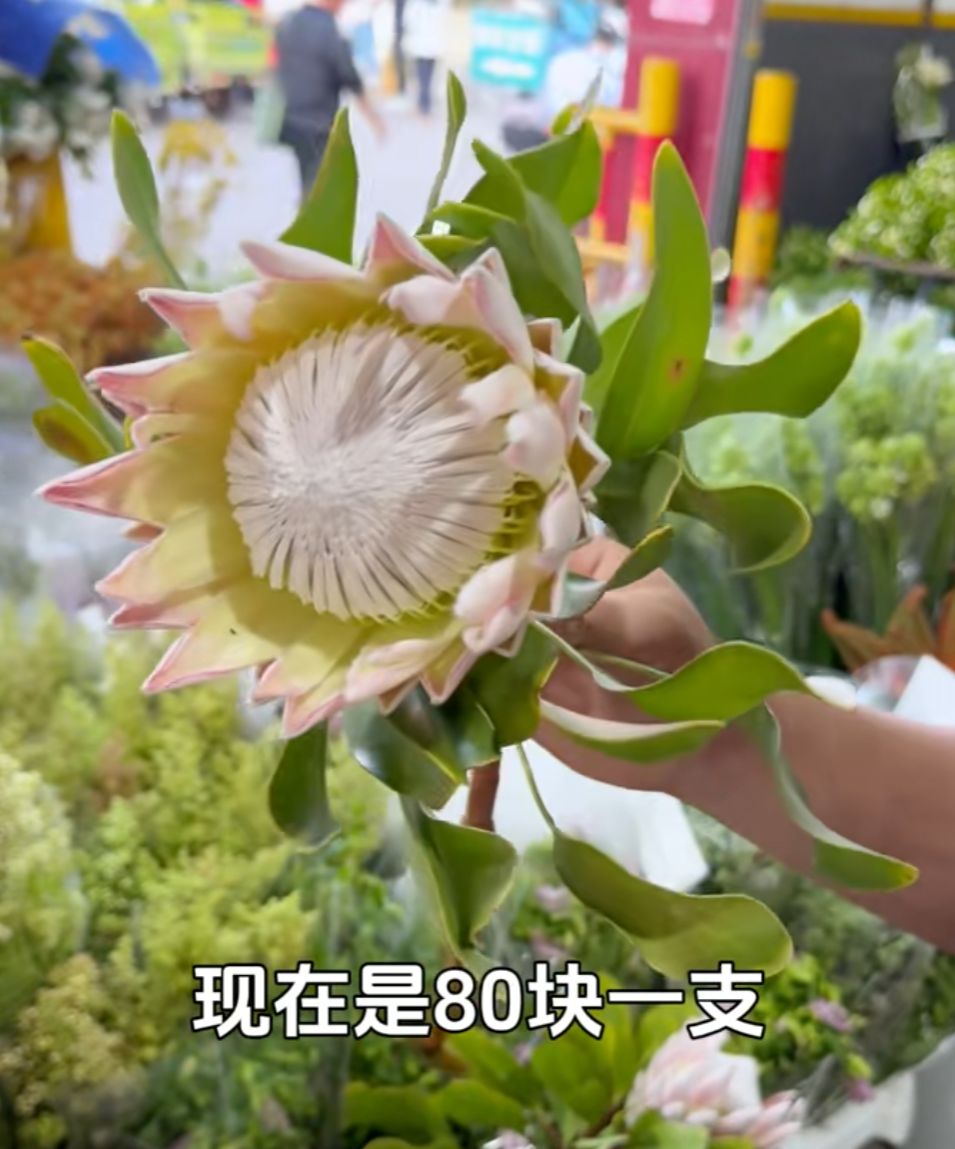 8099999街头巷尾微信