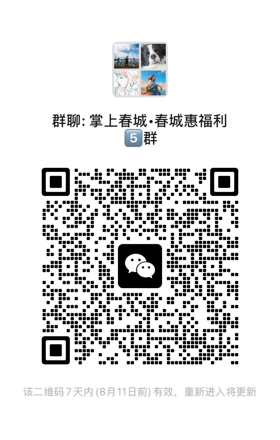 掌上春城微信