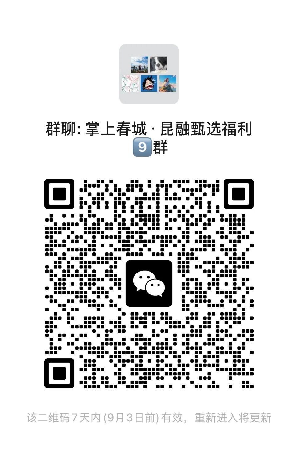 掌上春城微信