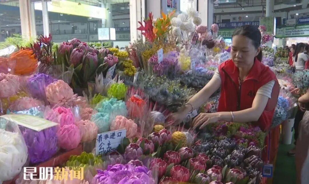 都市时报