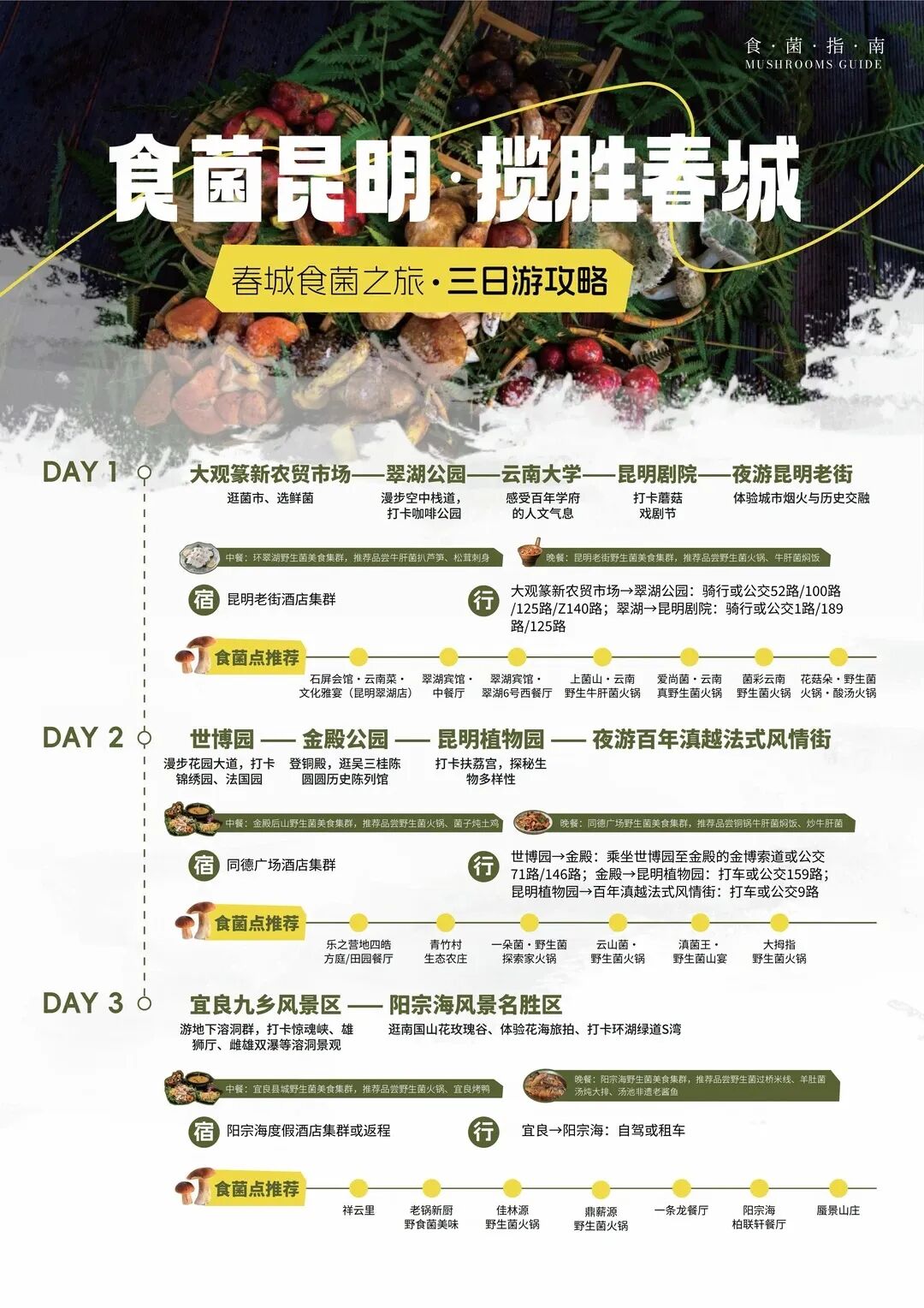街头巷尾