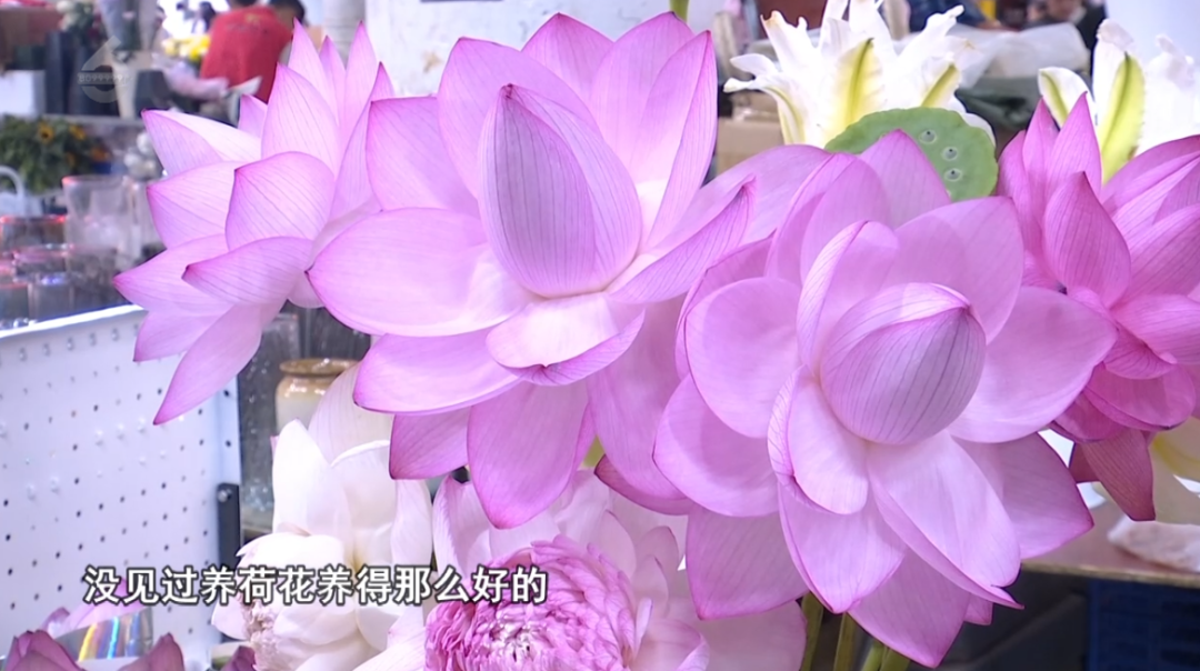 8099999街头巷尾微信