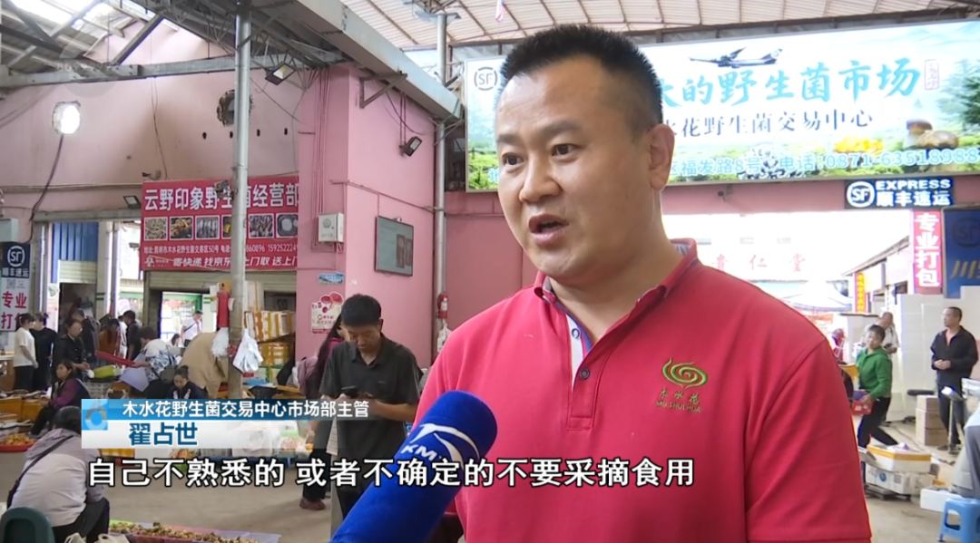 掌上春城微信