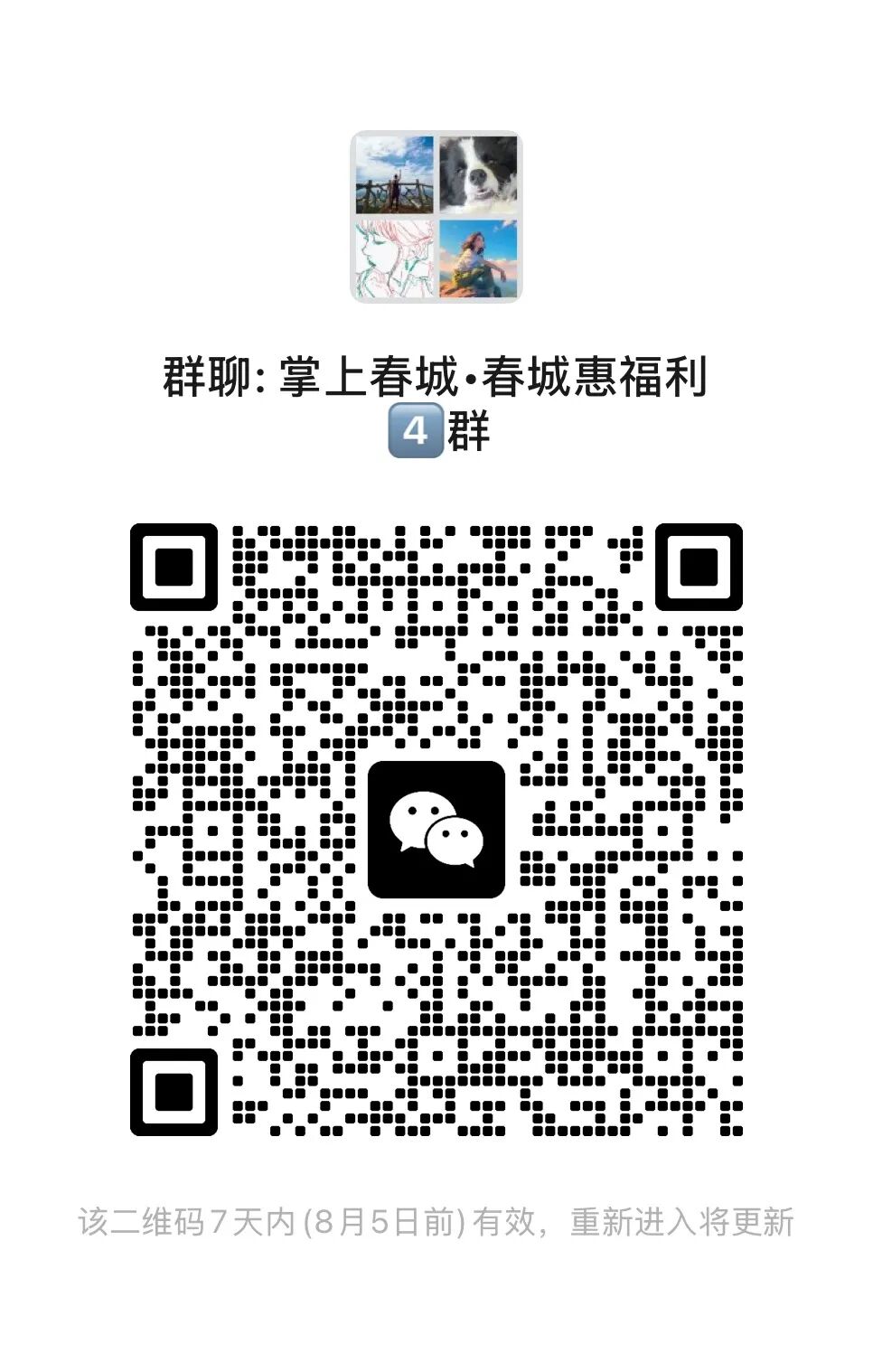 掌上春城微信