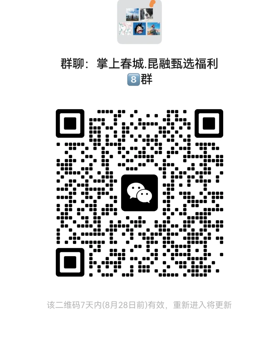 掌上春城微信