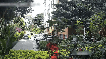 8099999街头巷尾微信