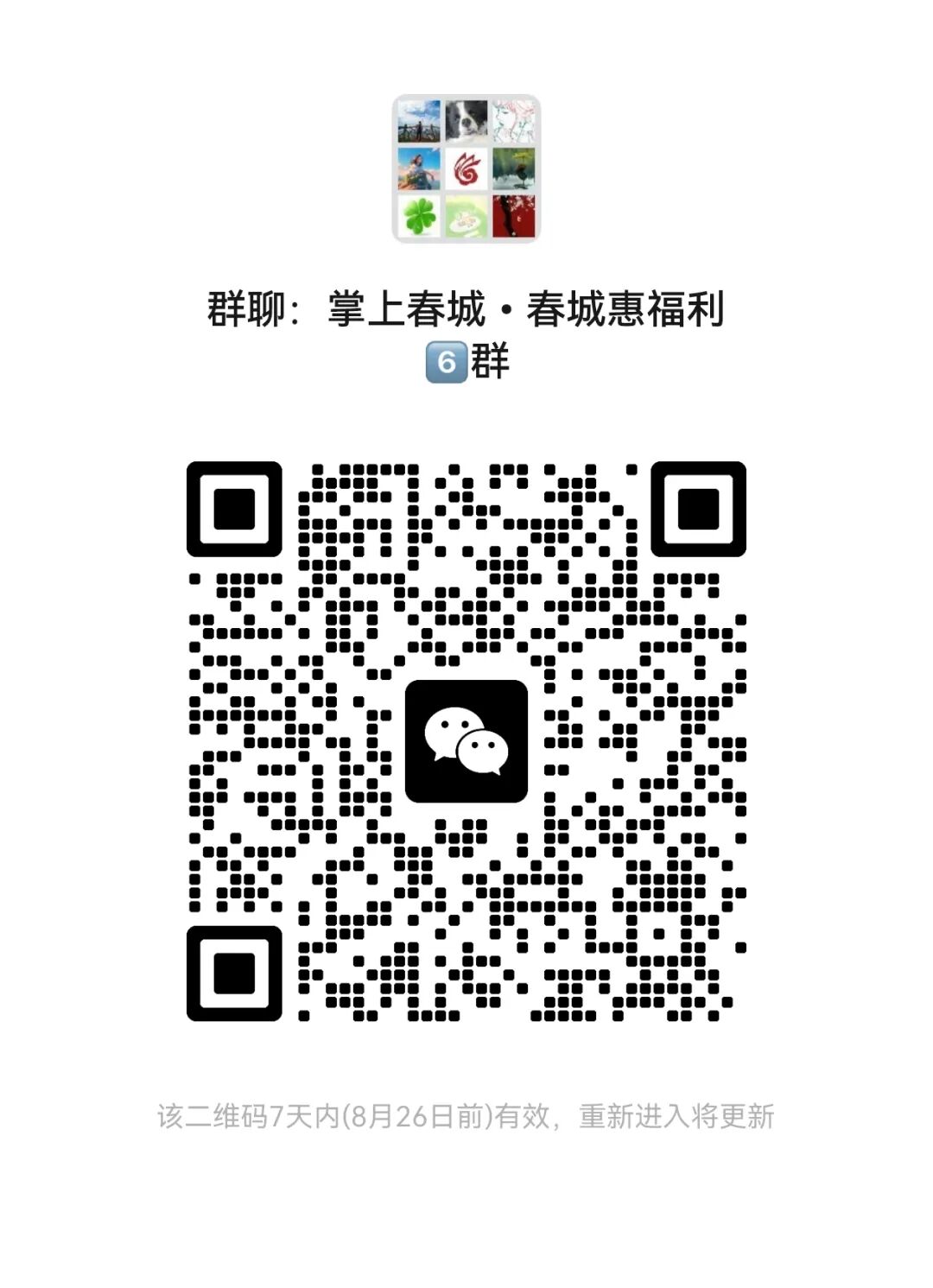 掌上春城微信