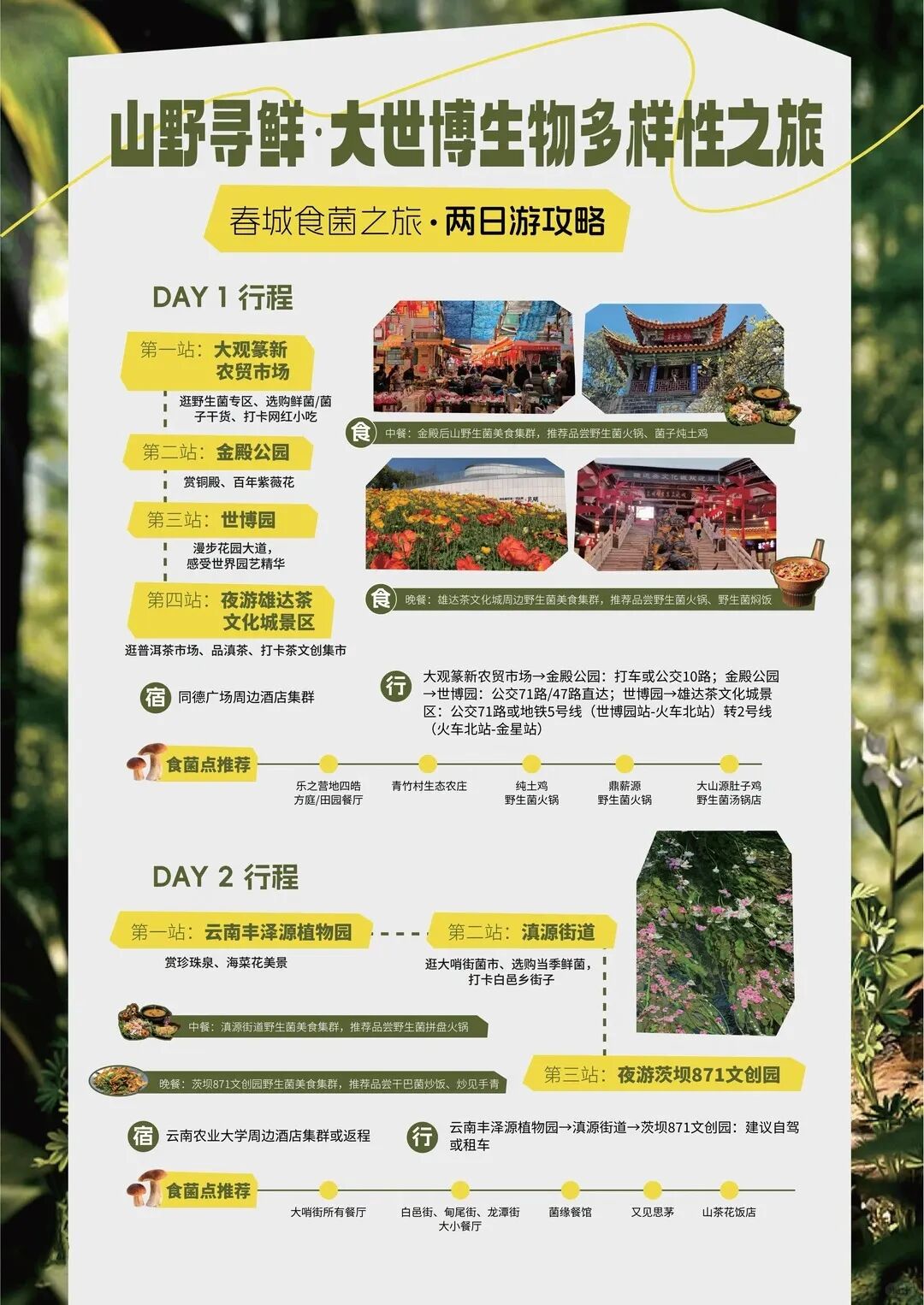 街头巷尾