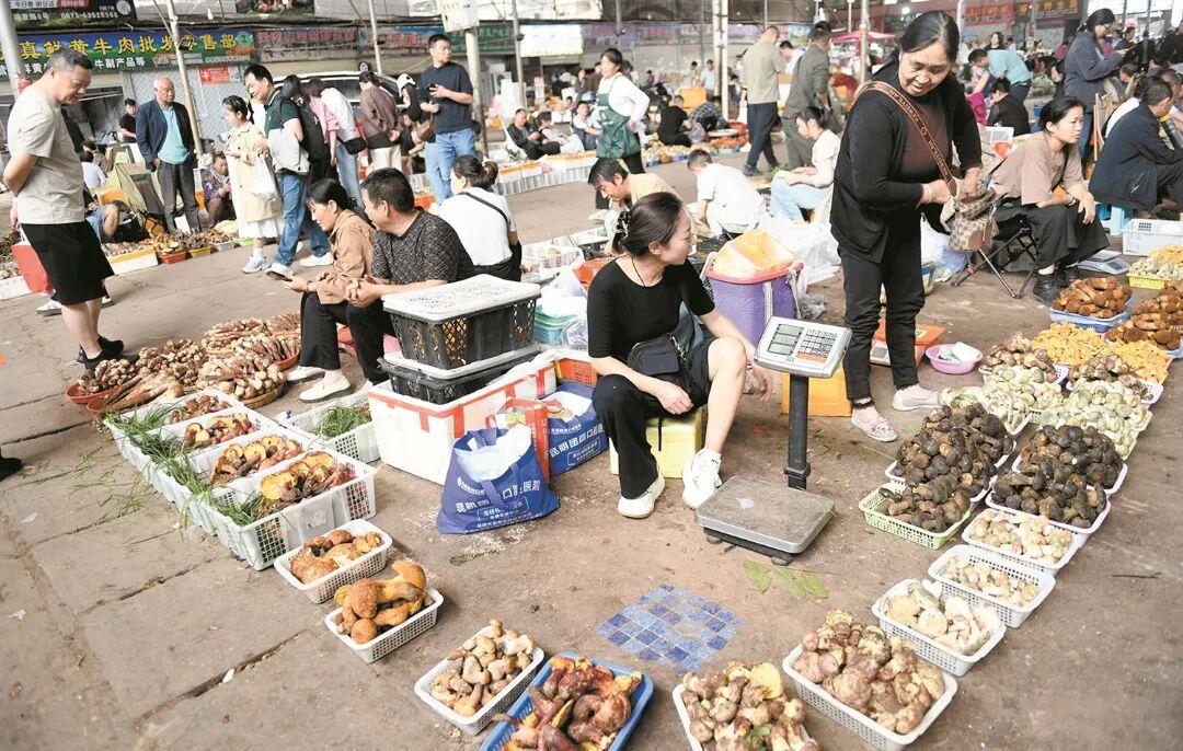 昆报头条