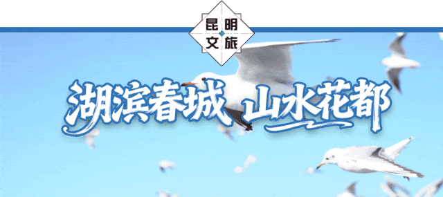 街头巷尾