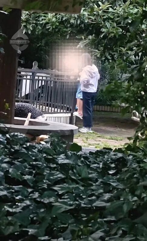 8099999街头巷尾微信