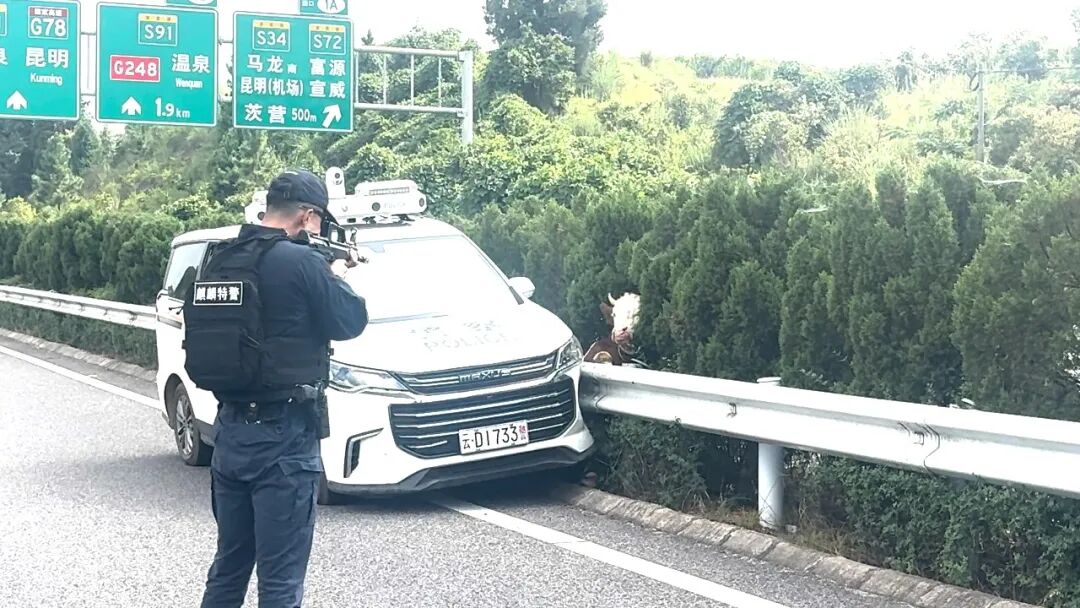 昆明广播电视台