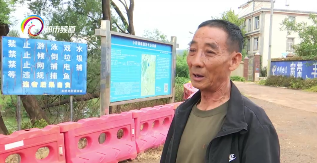 掌上春城微信