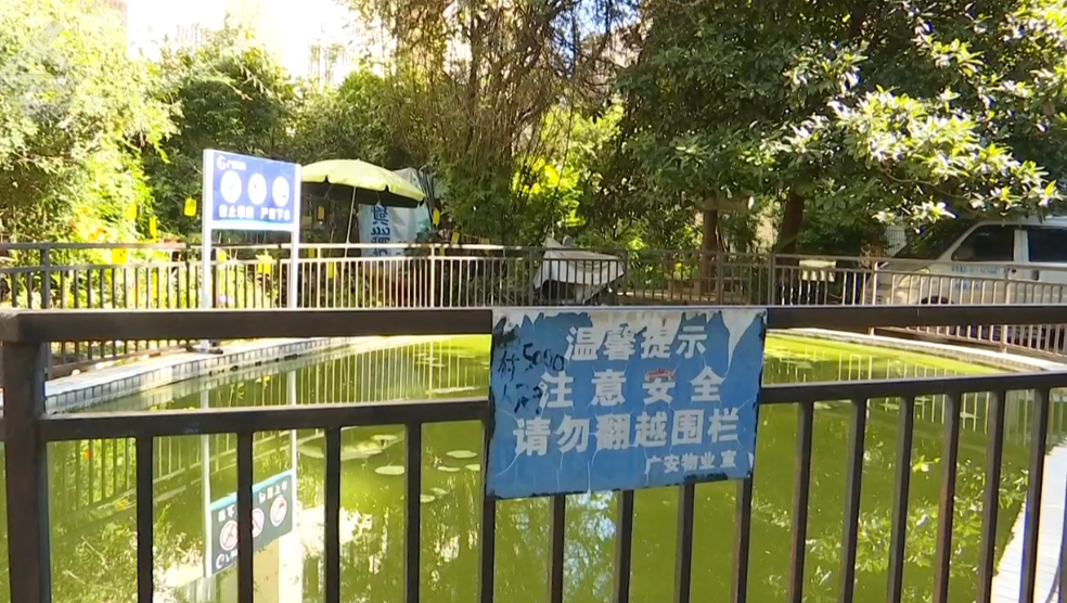 8099999街头巷尾微信