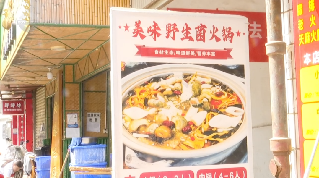 掌上春城微信