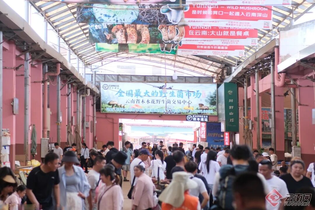 街头巷尾