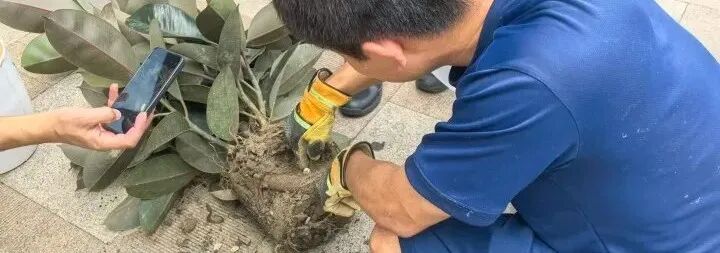 都市时报