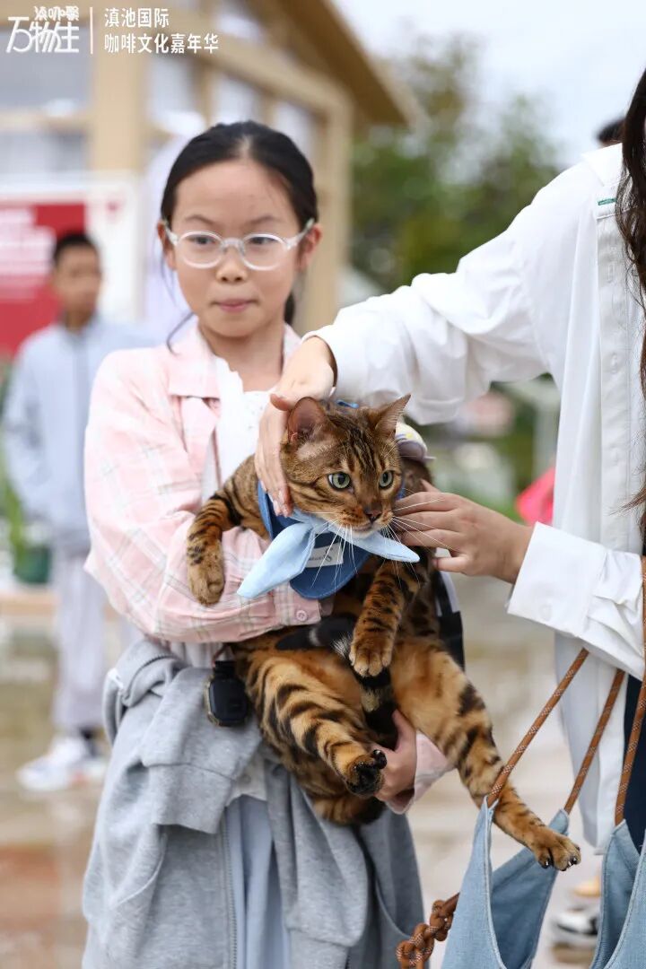 都市时报