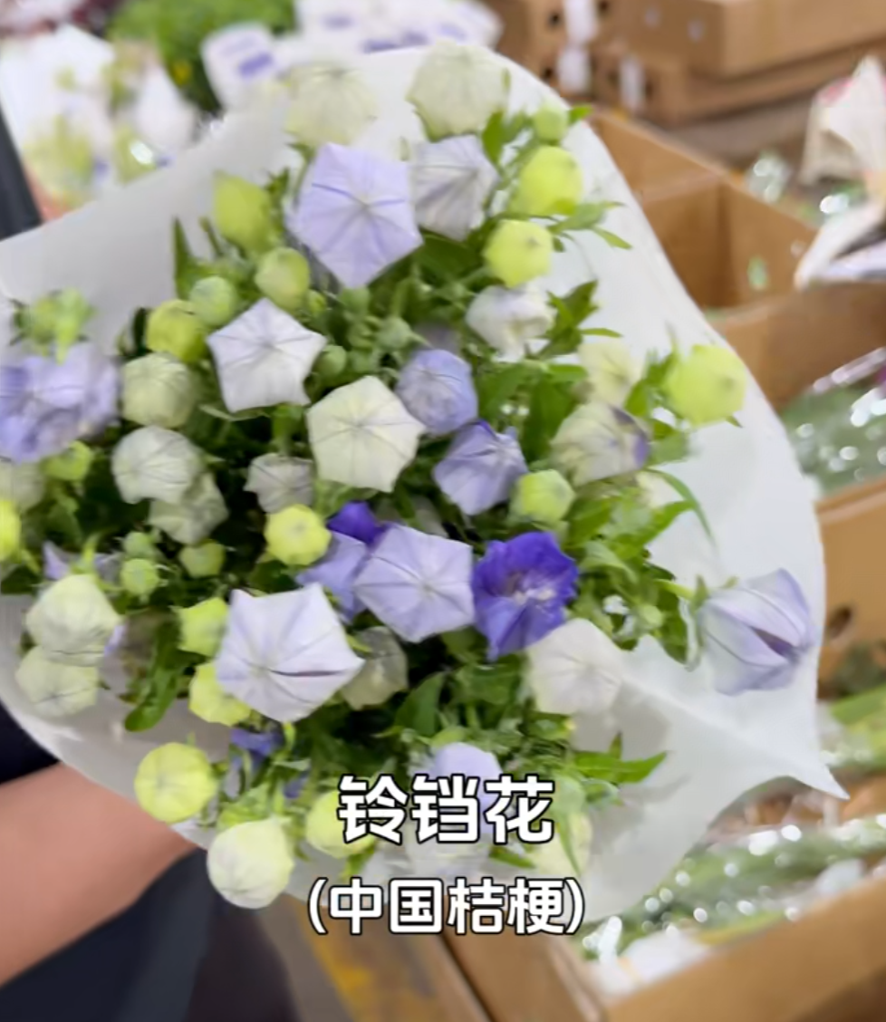8099999街头巷尾微信