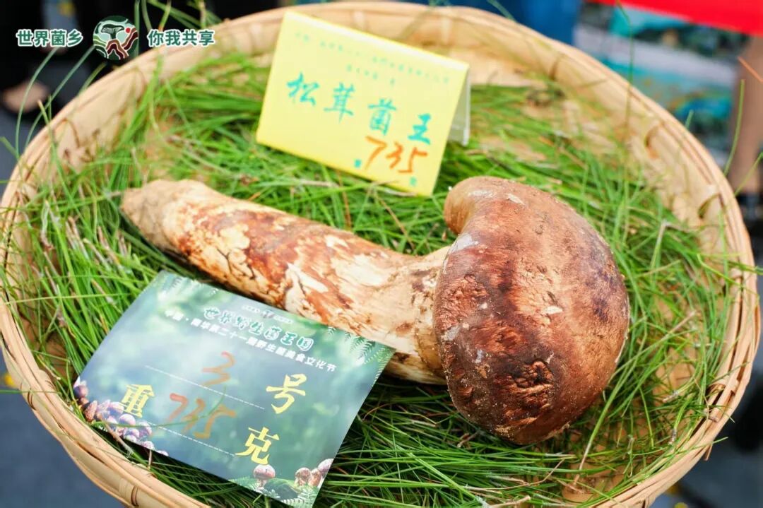 街头巷尾