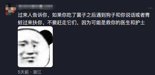 掌上春城微信