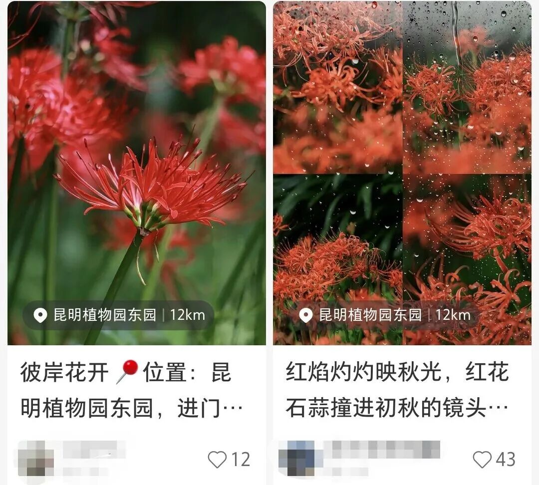昆明广播电视台