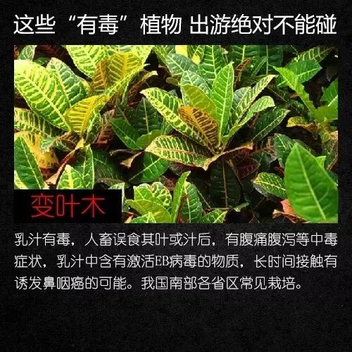 昆明广播电视台