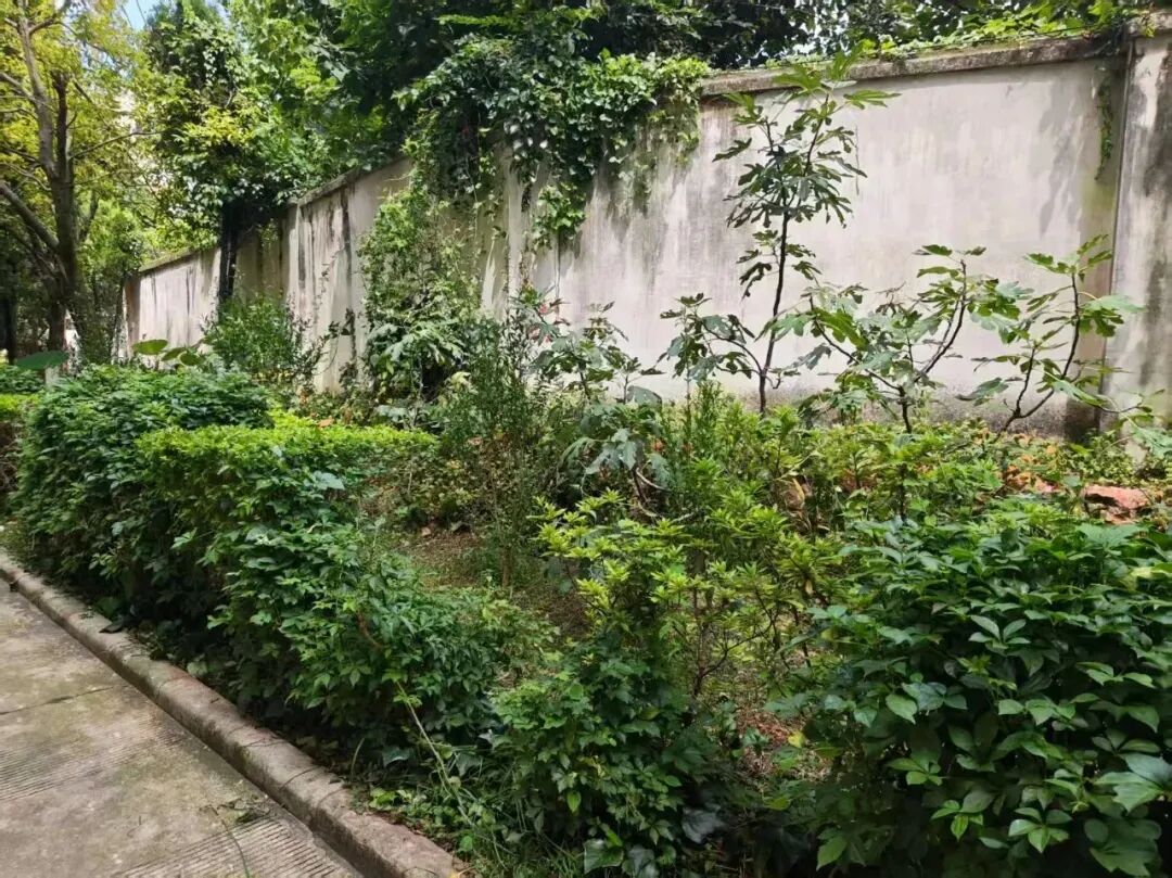 都市时报