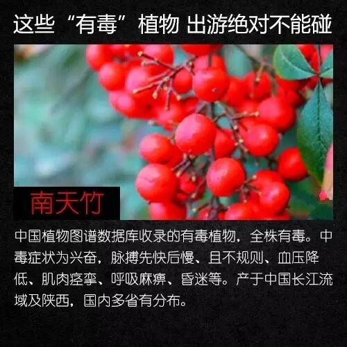 昆明广播电视台