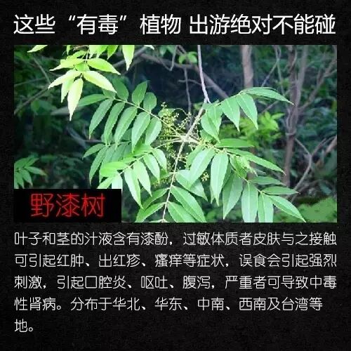 昆明广播电视台