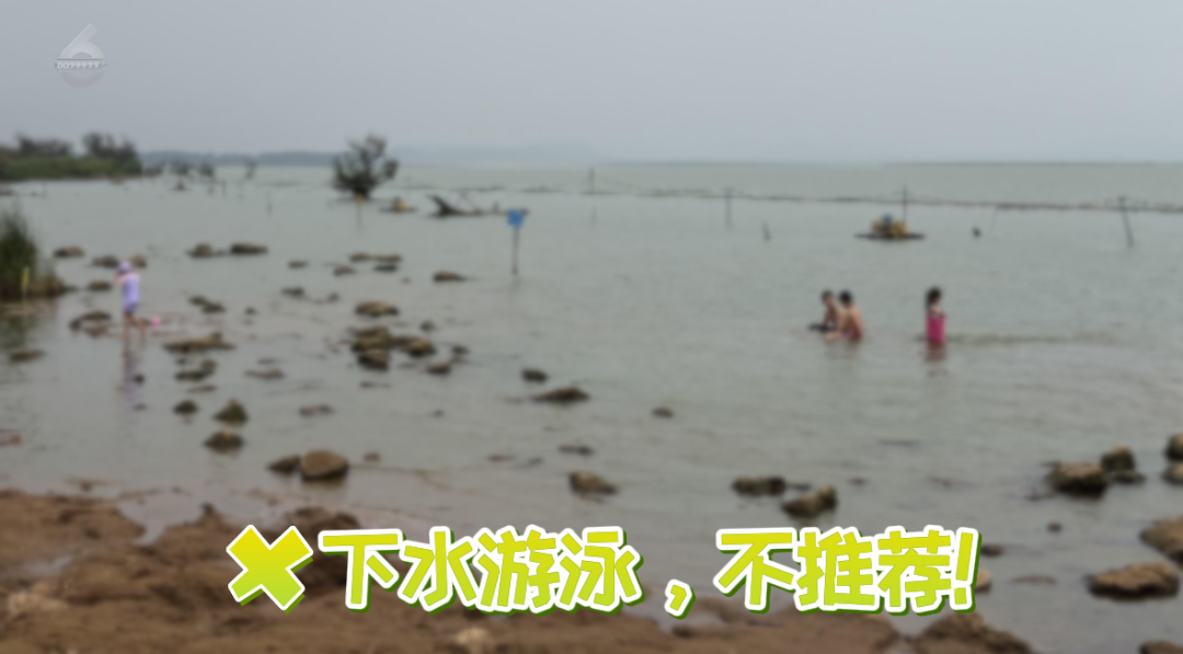 都市时报