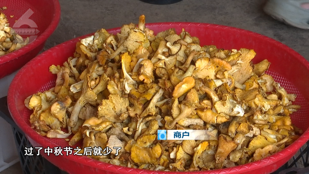 8099999街头巷尾微信