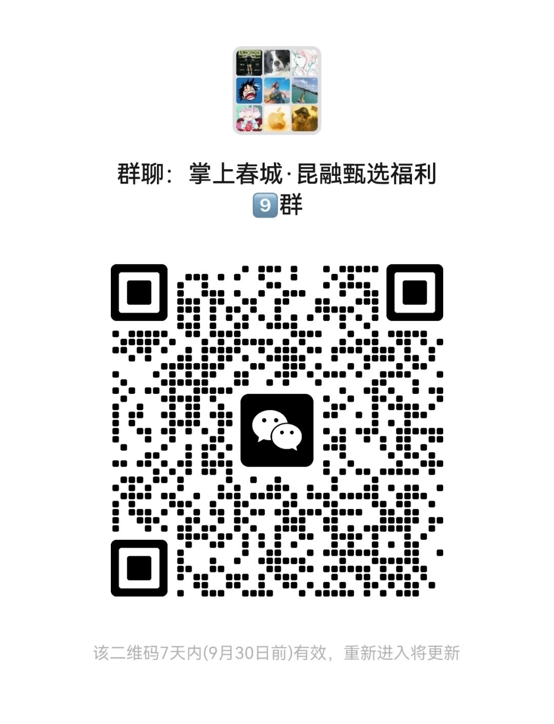 掌上春城微信