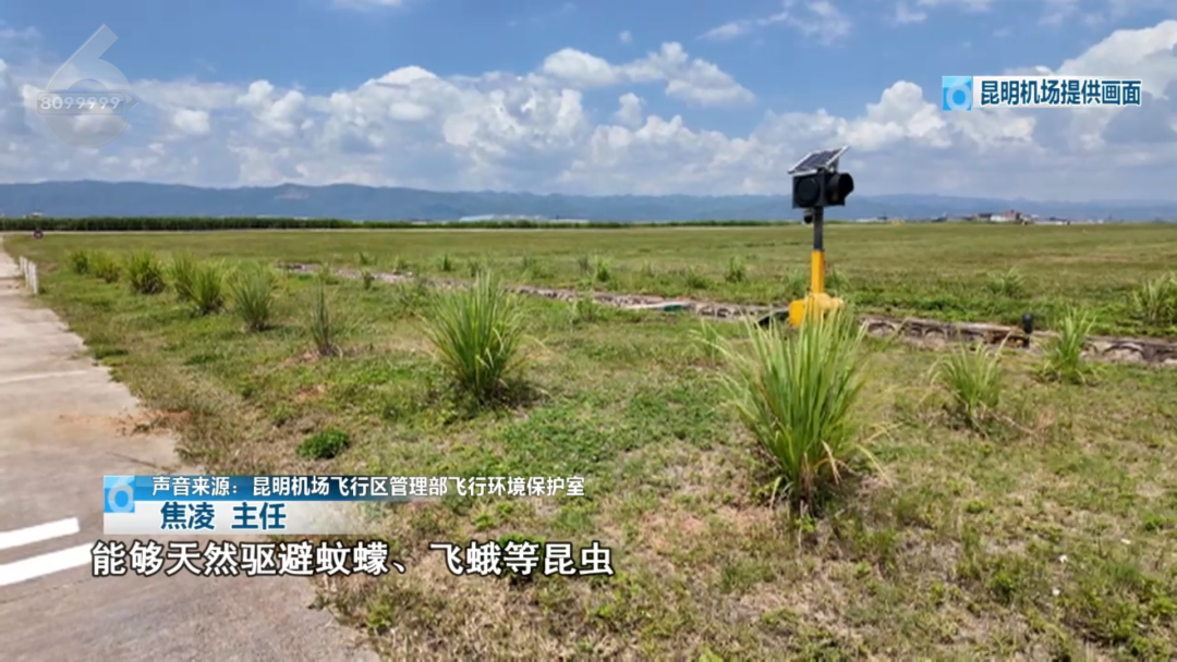 8099999街头巷尾微信