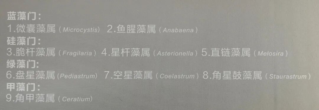 掌上春城微信