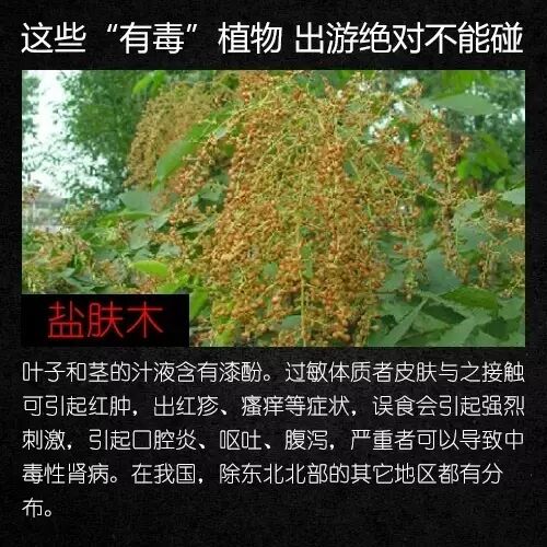 昆明广播电视台