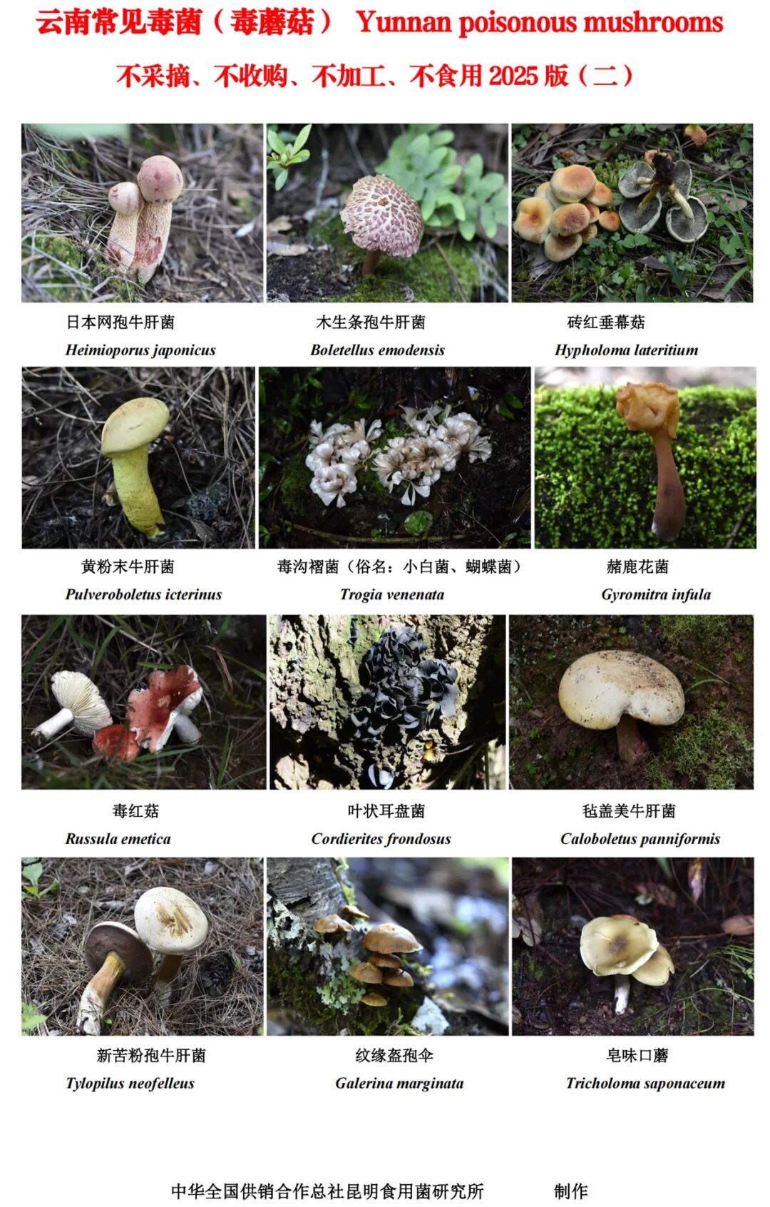 昆明广播电视台