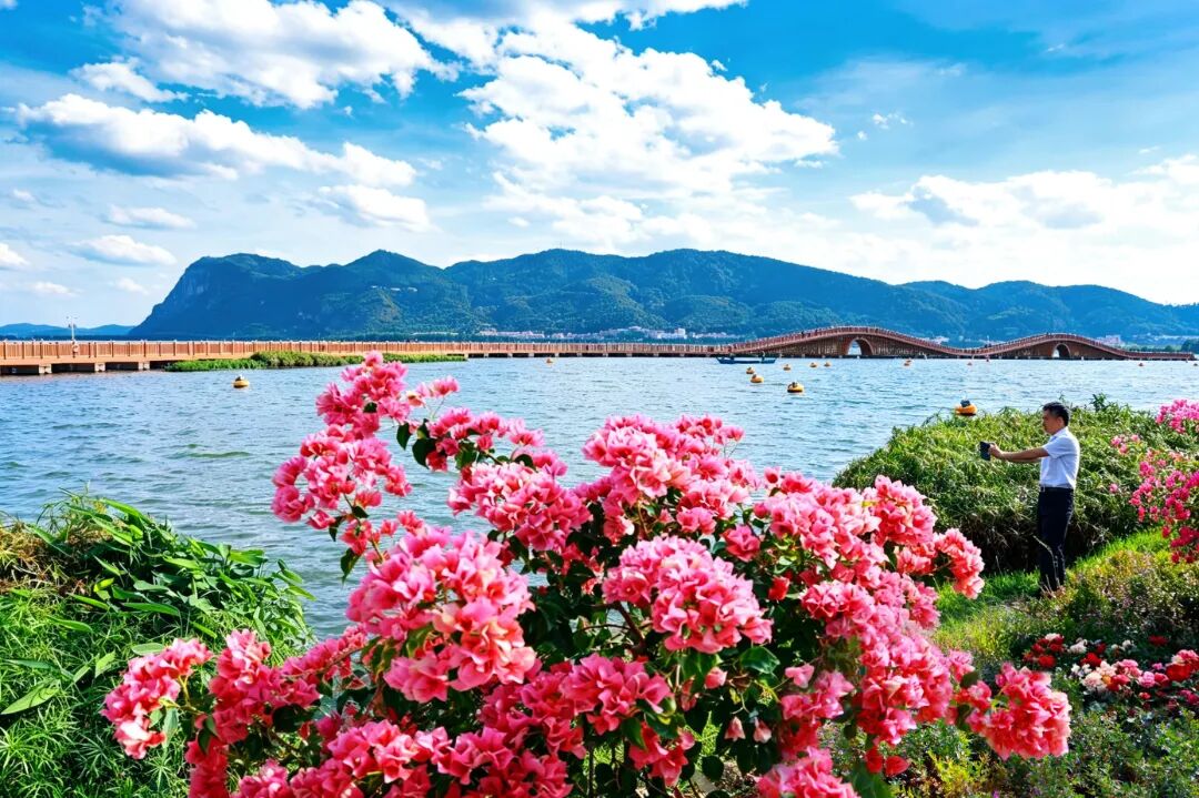 掌上春城微信