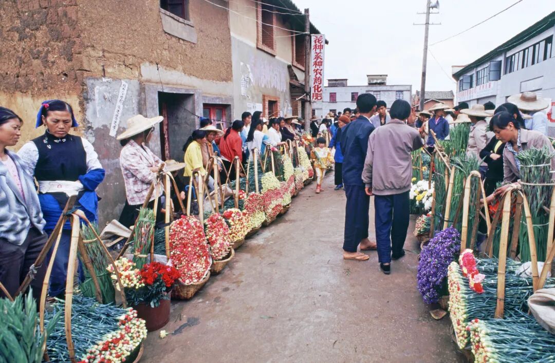 街头巷尾