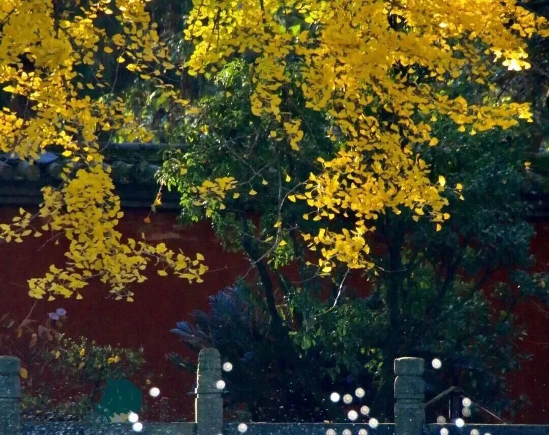 街头巷尾