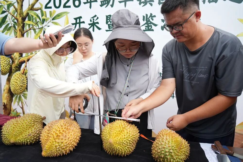 8099999街头巷尾微信