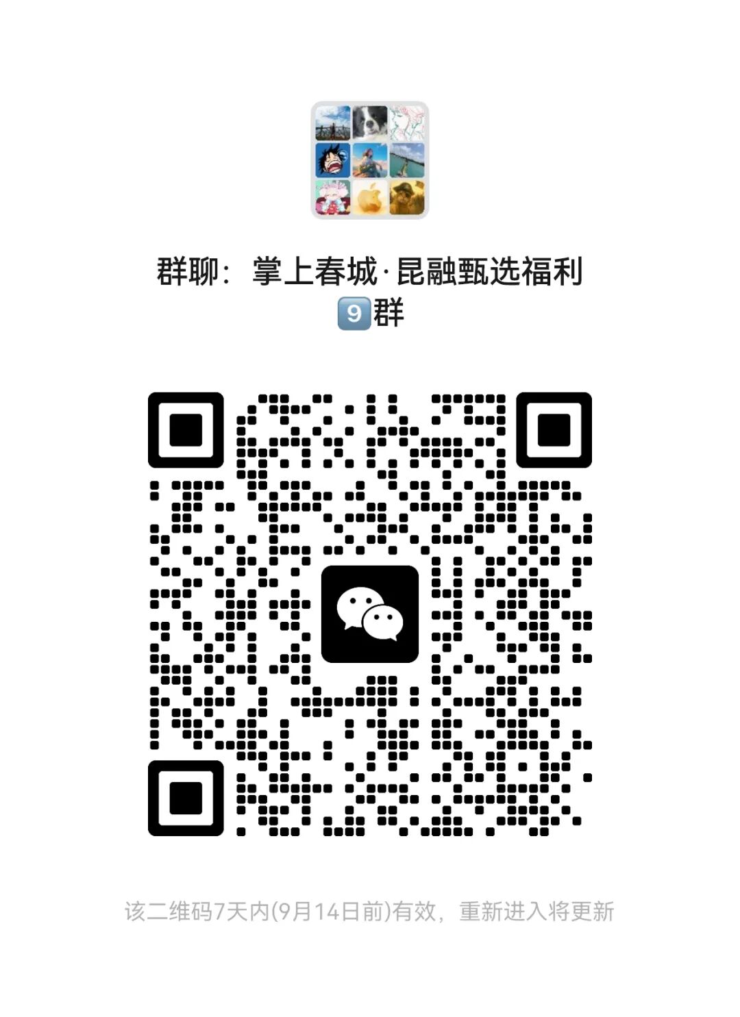 掌上春城微信