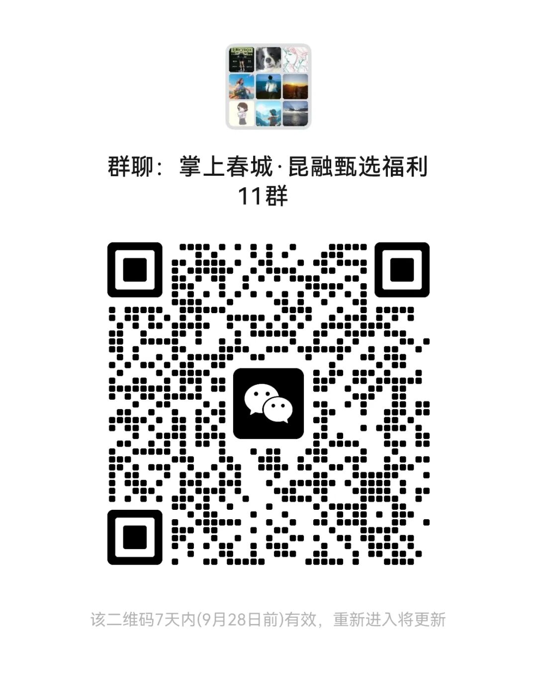 掌上春城微信