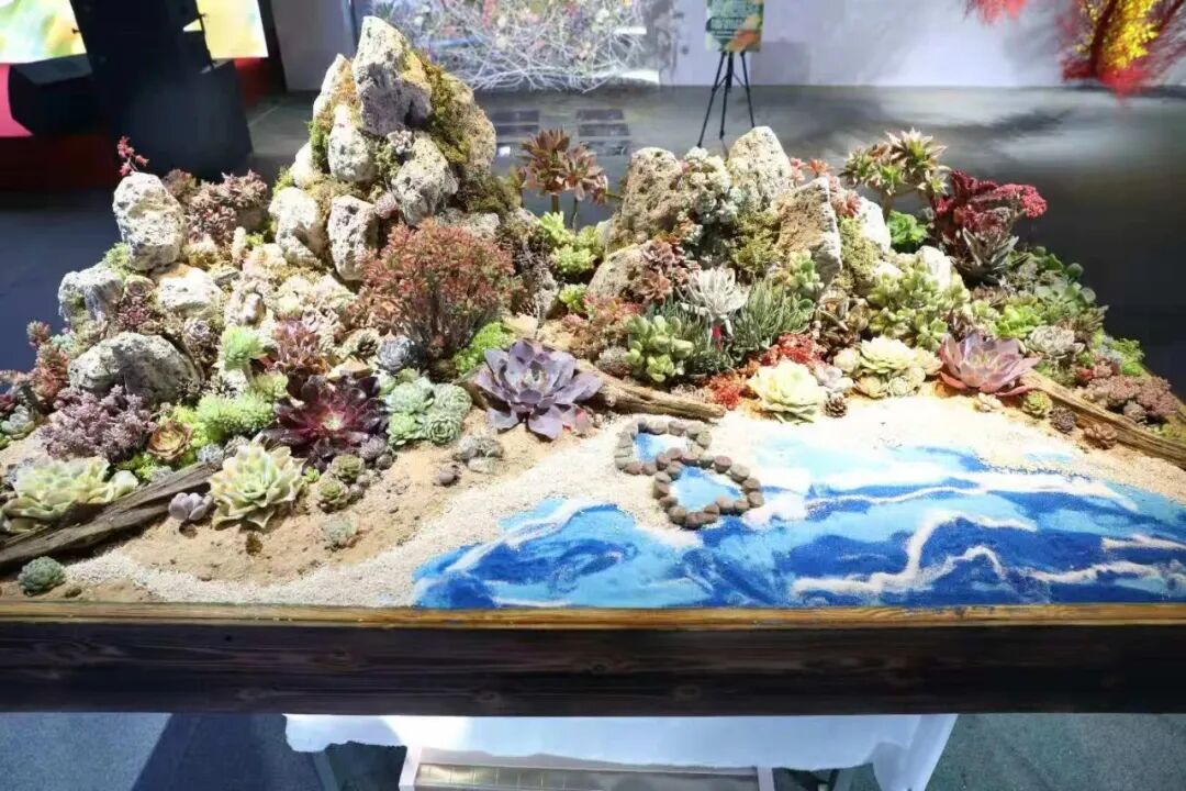 掌上春城微信