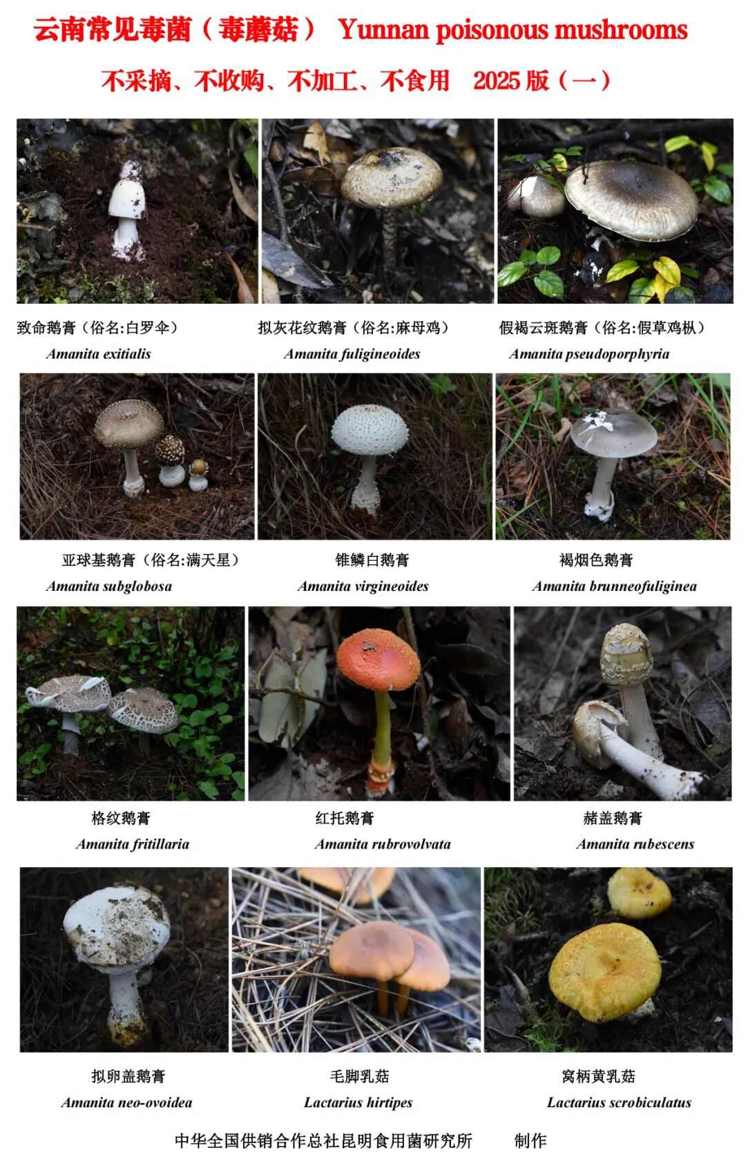 昆明广播电视台