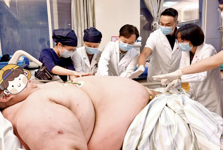 掌上春城微信